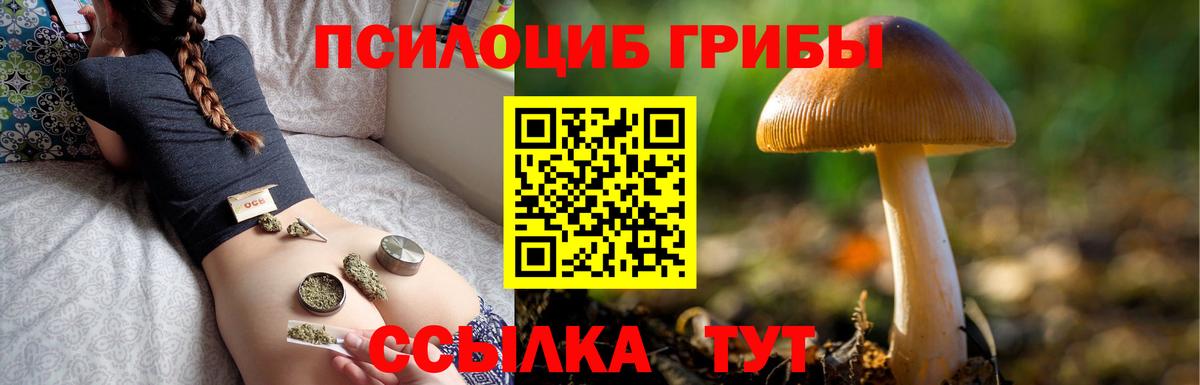 даркнет сайт  Псилоцибиновые грибы Psilocybine cubensis  Вход с VPN  Ишимбай 